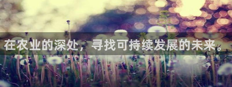天辰娱乐