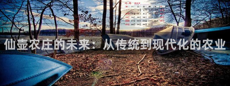 天辰娱乐平台登录账号