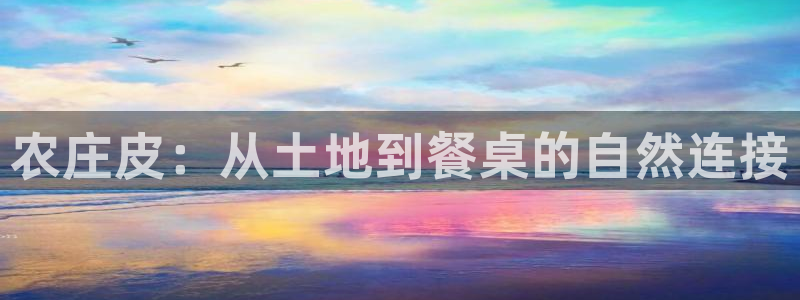 天辰娱乐传媒