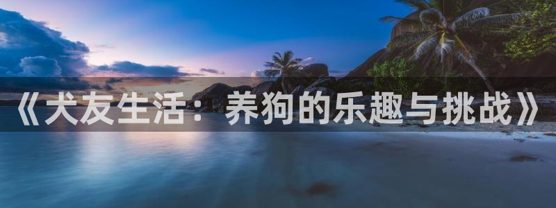 天辰娱乐平台注册