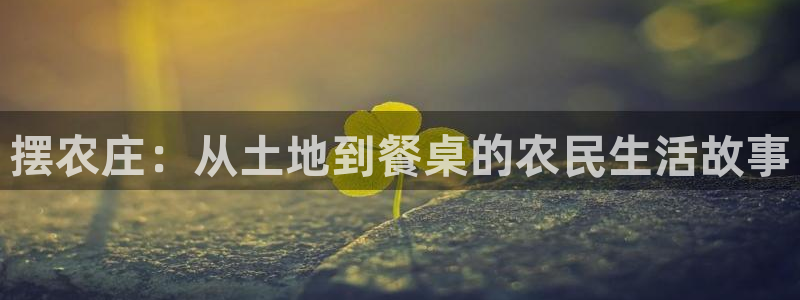天辰娱乐网址娱乐游戏