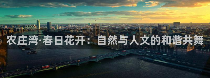 天辰娱乐61116