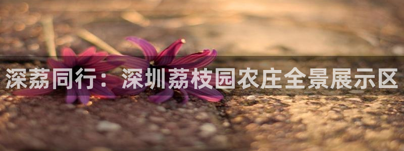 天辰娱乐测试