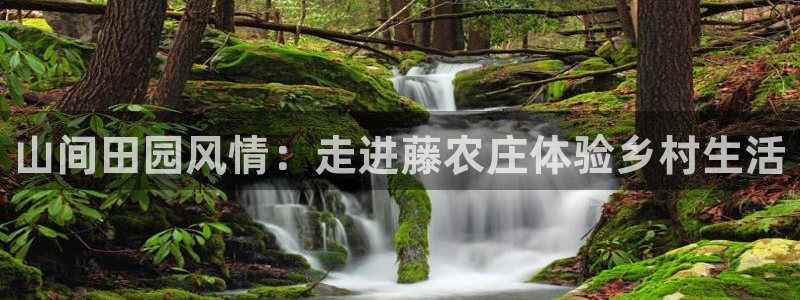 天辰娱乐平台地址