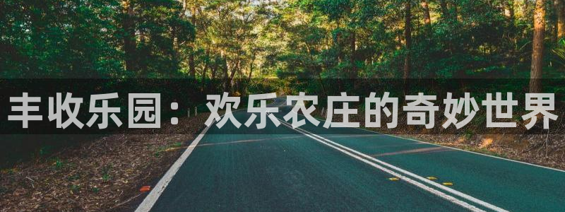 天辰娱乐平台app下载