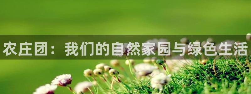 天辰娱乐下载链接