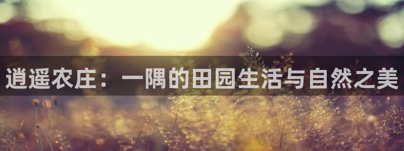 天辰娱乐平台登录账号