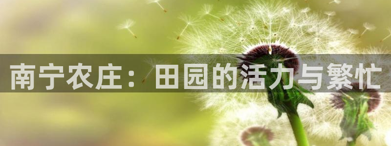 天辰 娱乐 注册