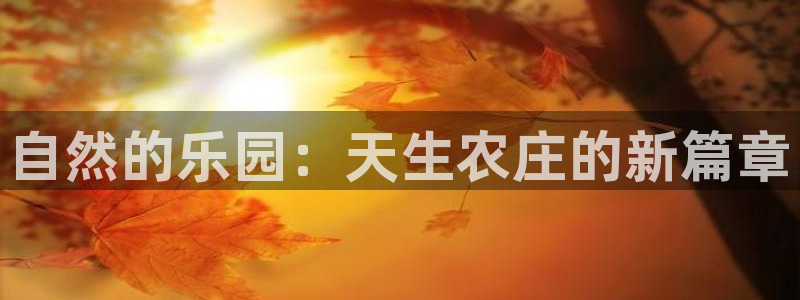 天辰娱乐平台地址在哪里