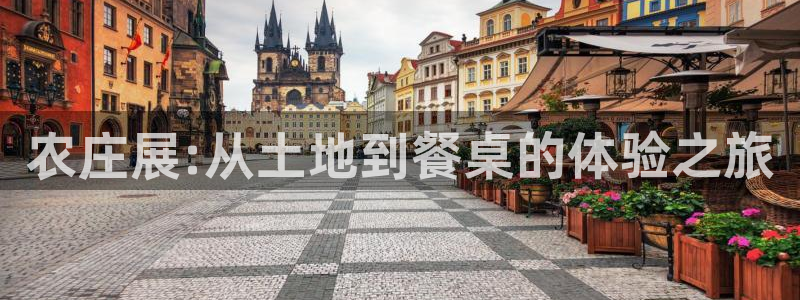 天辰娱乐天辰宝