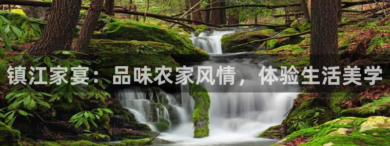 天辰娱乐 . 鱼刺