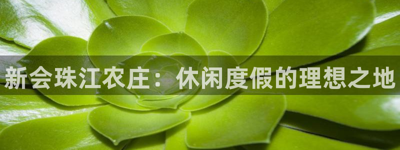 菲律宾天辰娱乐