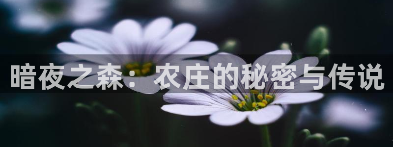 天辰娱乐官方网