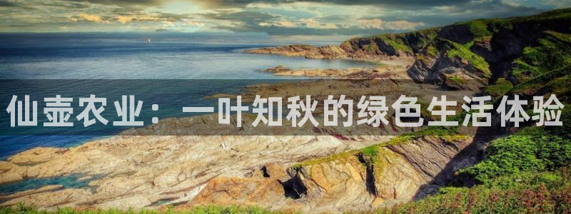 天辰娱乐官网平台下载