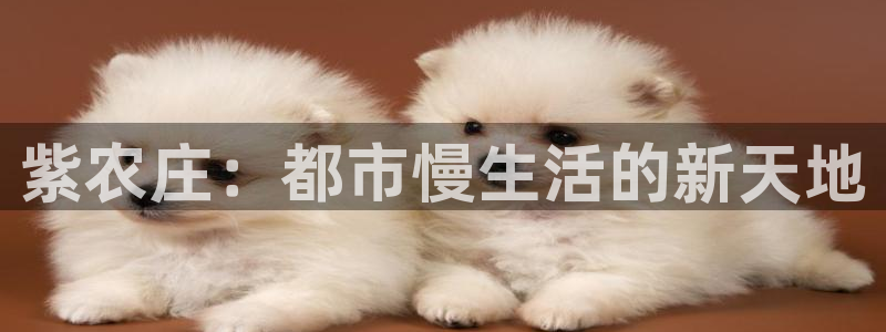 天辰娱乐下载地址