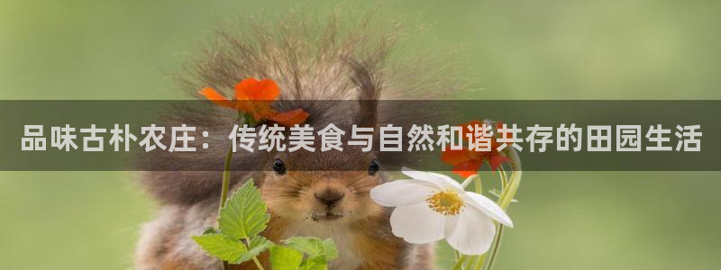 天辰娱乐平台靠谱么