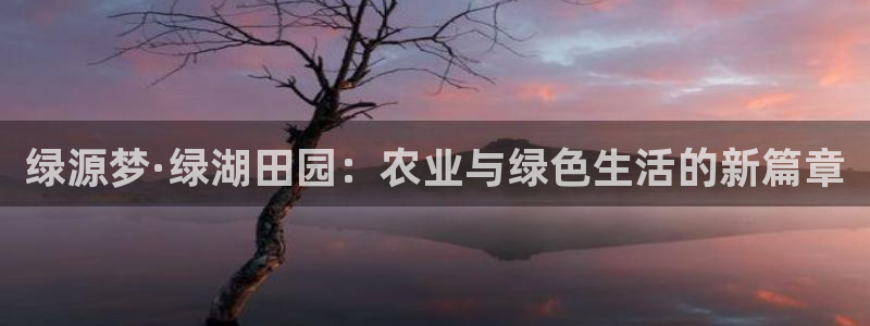 天辰娱乐游戏平台怎么样