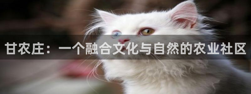 天辰娱乐 天辰平台