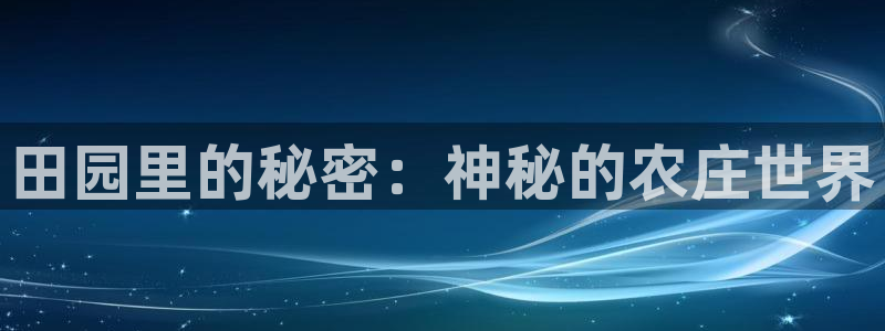 天辰娱乐登陆平台