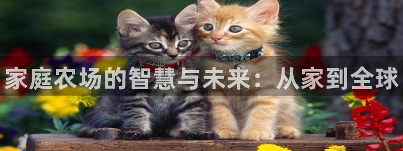 天辰娱乐APP下载