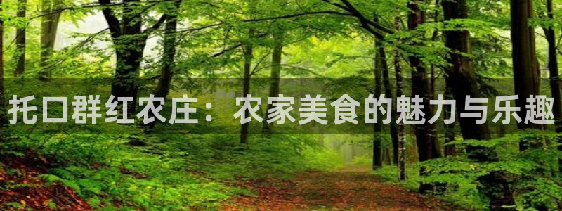 菲律宾天辰娱乐