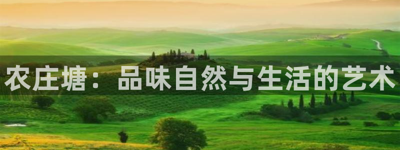 天辰娱乐平台注册