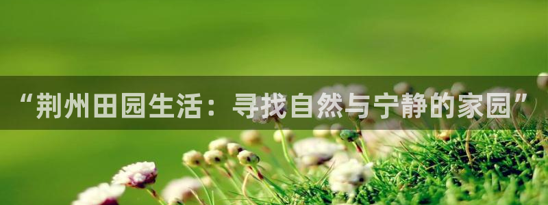 天辰娱乐的网址首页