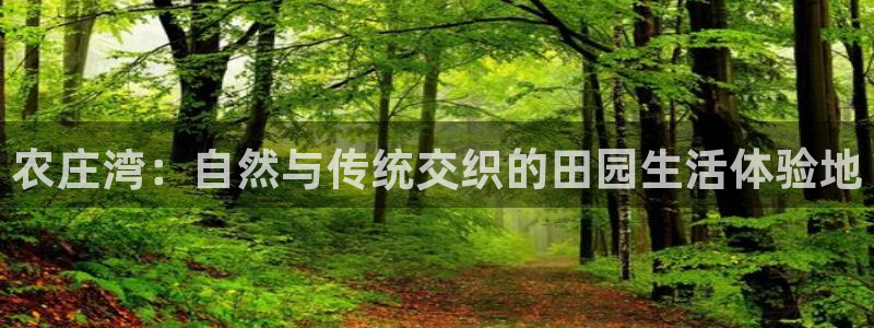 天辰娱乐网址娱乐游戏